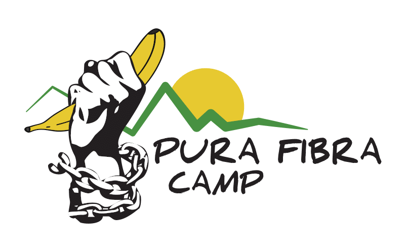 Logo Pura Fibra Camp 2020